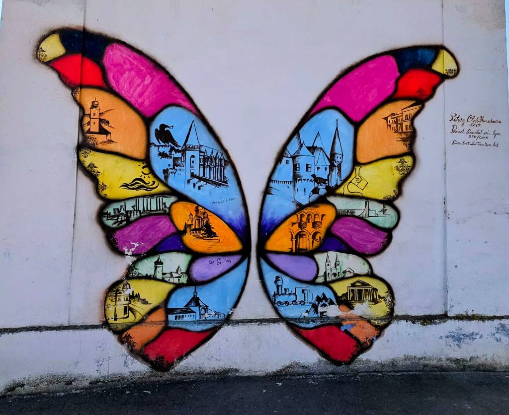 The Rhythm of a Small City