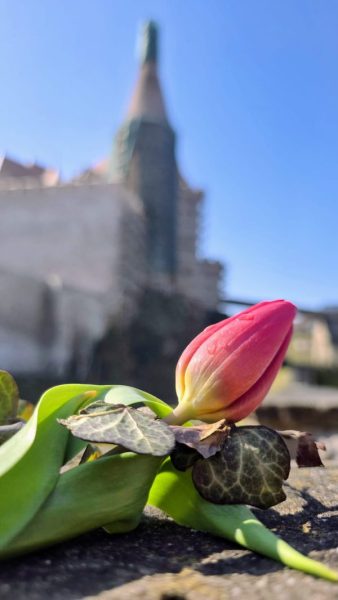 Chronicles of Romania